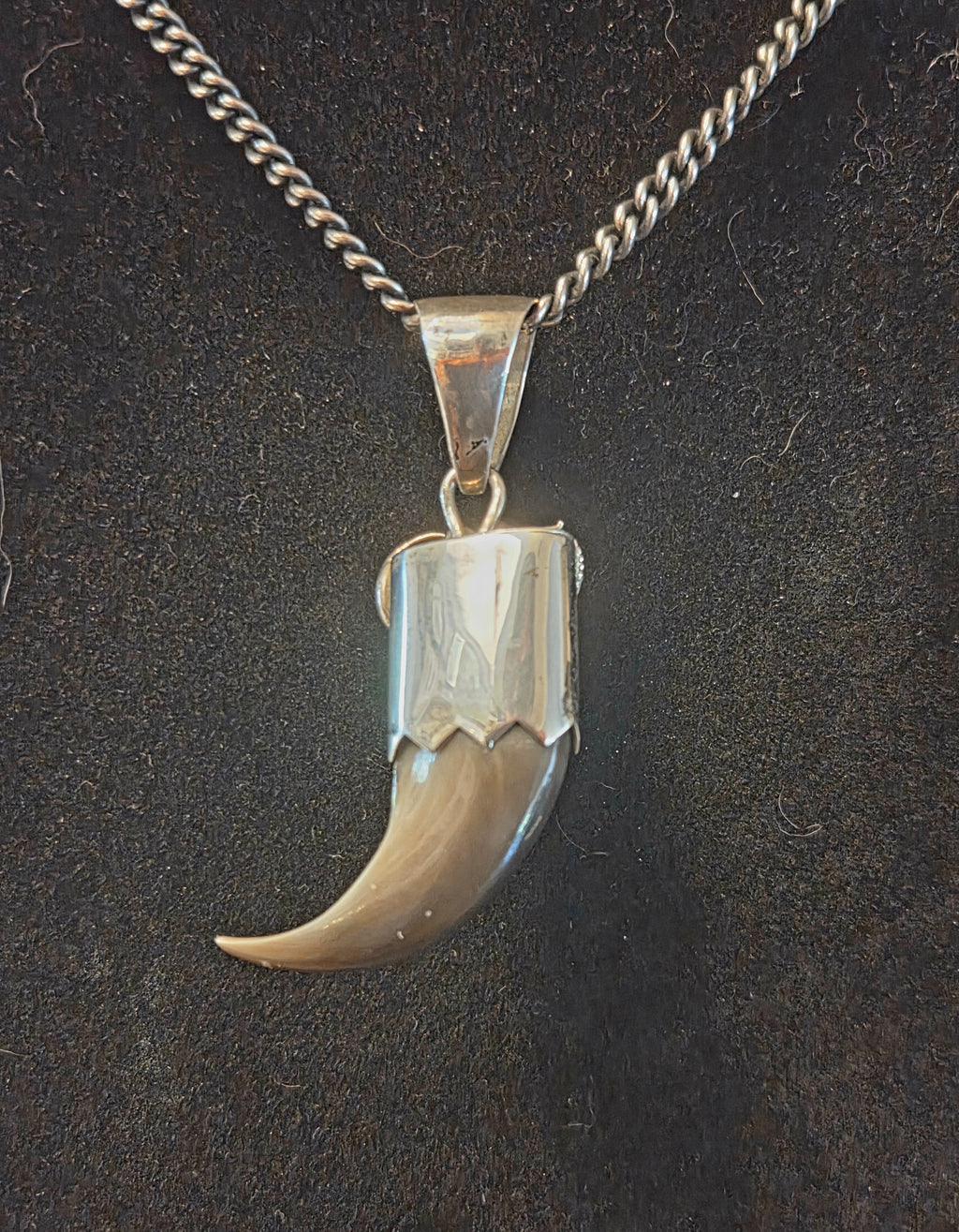 Men's Bear Claw Pendant
